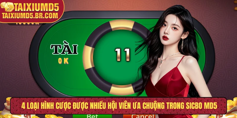 4 loại hình cược được nhiều hội viên ưa chuộng trong sicbo MD5