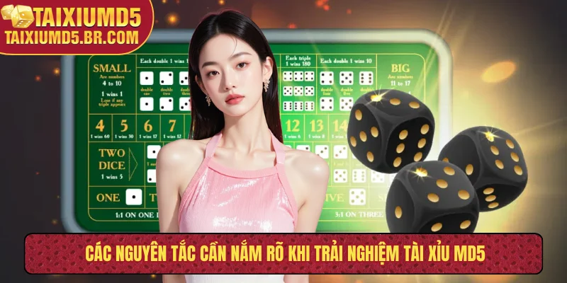 Các nguyên tắc cần nắm rõ khi trải nghiệm tài xỉu MD5