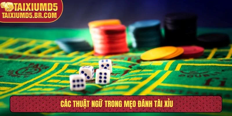 Các thuật ngữ trong mẹo đánh Tài Xỉu