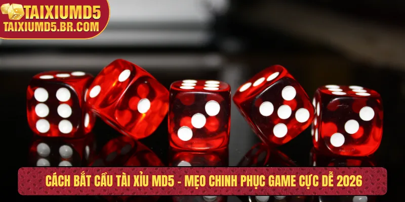 Cách bắt cầu tài xỉu MD5