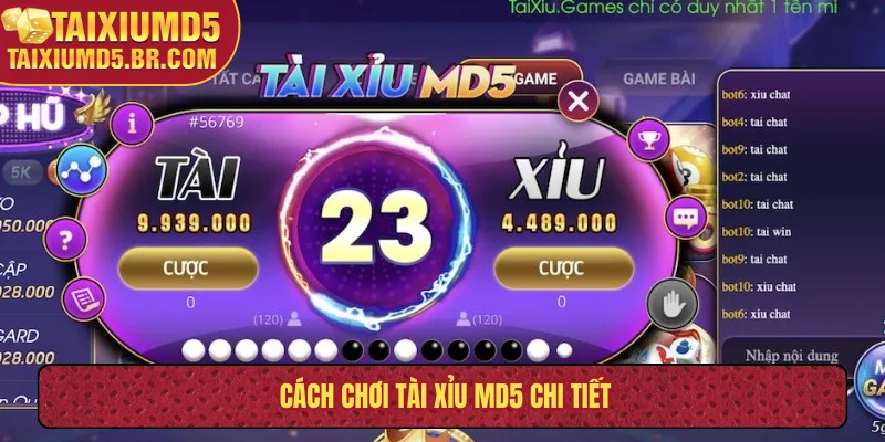 Cách chơi tài xỉu MD5 chi tiết
