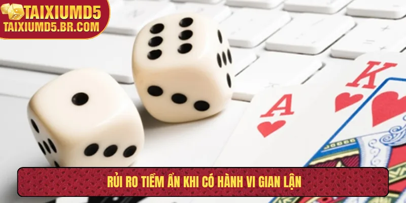 Rủi ro tiềm ẩn khi có hành vi gian lận