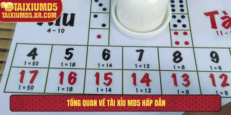 Tổng quan về tài xỉu MD5 hấp dẫn